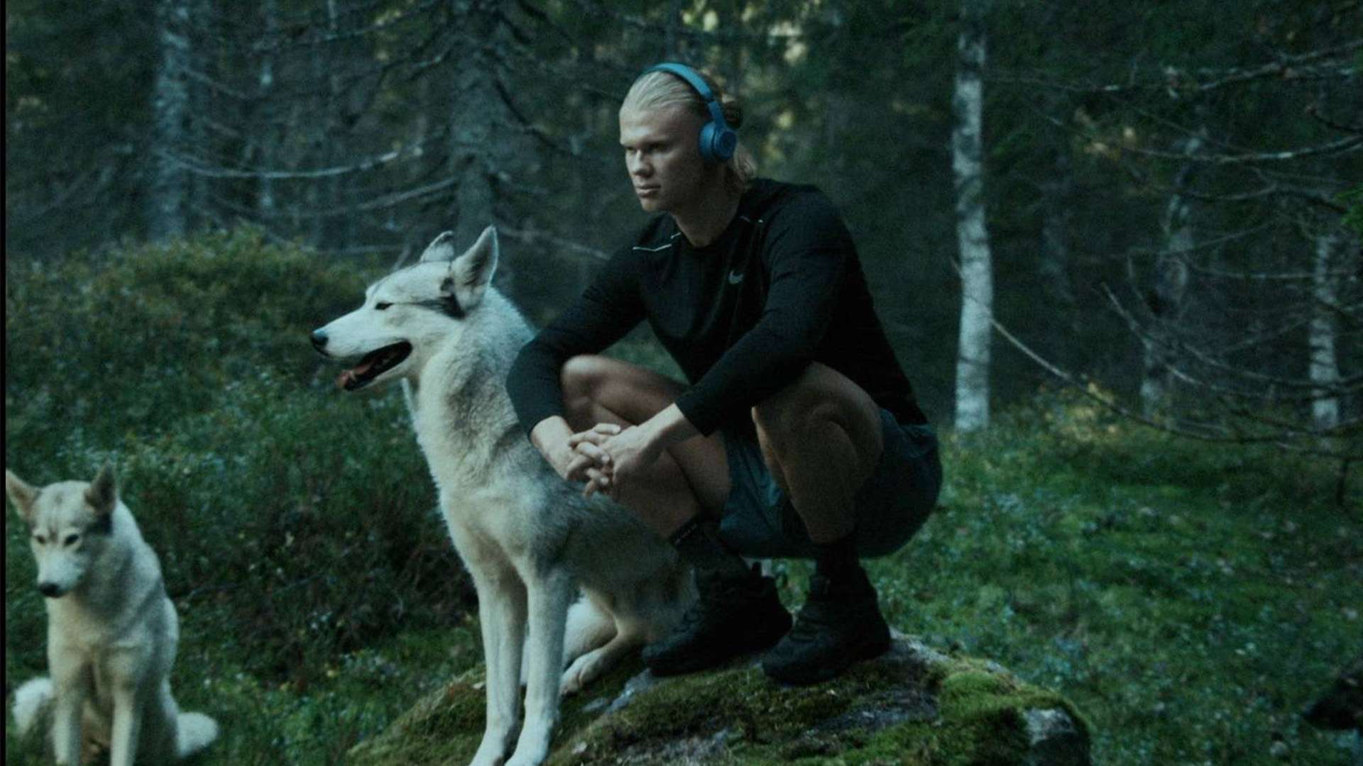 团队战术的 团队战术的