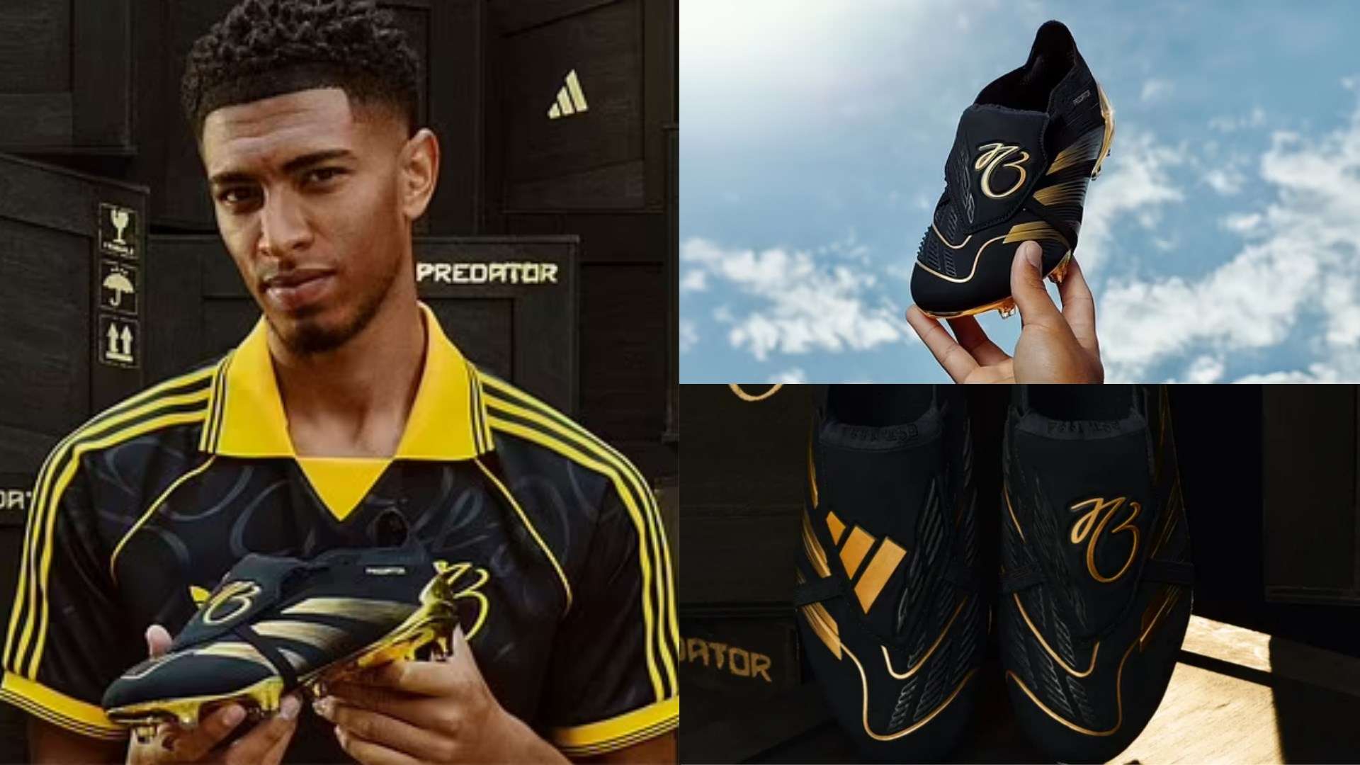 租借回歸熱 租借回歸熱